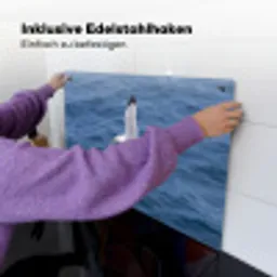 Zeemeeuw - Oceaan - Blauw Inductie beschemer met haakjes klein -ky-ophangen-de