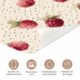 Framboos - Stippen - Rood deurposter klein 289 -closeup_NL
