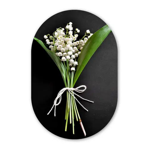 Lelietjes van dalen - Bloemen - Stilleven - Flora Wandcirkel Ovaal Forex klein -3d