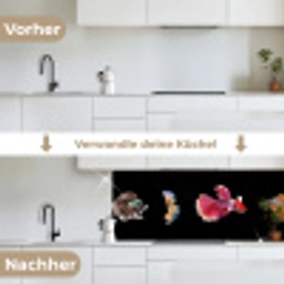 Vissen - Kleurrijk - Dieren keuken achterwand 2 middel -voor-na_DE