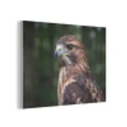 Buizerd - Roofvogel - Natuur - Bruin PET vilt klein -3d
