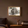 Eland - Auto - Gewei - Zwart - Wit Light Box met batterij (Wandlamp) middel -sfeer4
