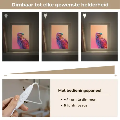 Arend - Vogel - Kleurrijk - Dier Light Box met kabel klein -USP_dimbaarNL