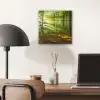 Zon - Bos - Bomen - Natuur - Herfst aluminium wit klein -sfeer5