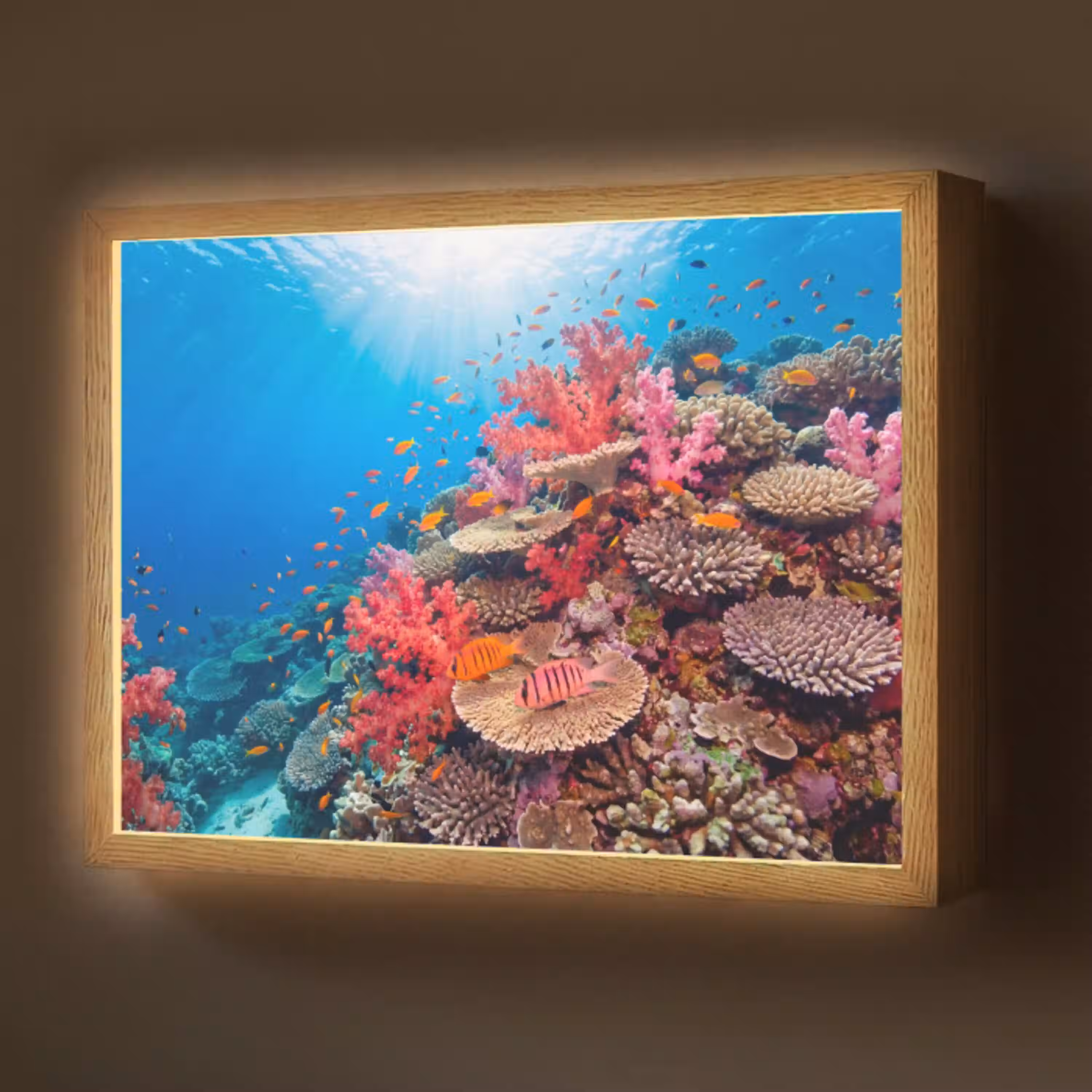 Koraalrif - Vissen - Onderwater - Tropisch - Rood Light Box met batterij (Wandlamp) middel -z3d_website