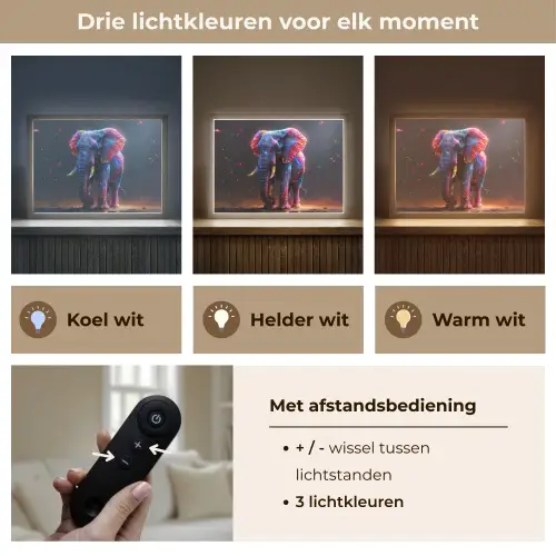 Olifant - Kleuren - Sterren - Dier Light Box met batterij (Wandlamp kind) middel -USP_lichtkleurNL