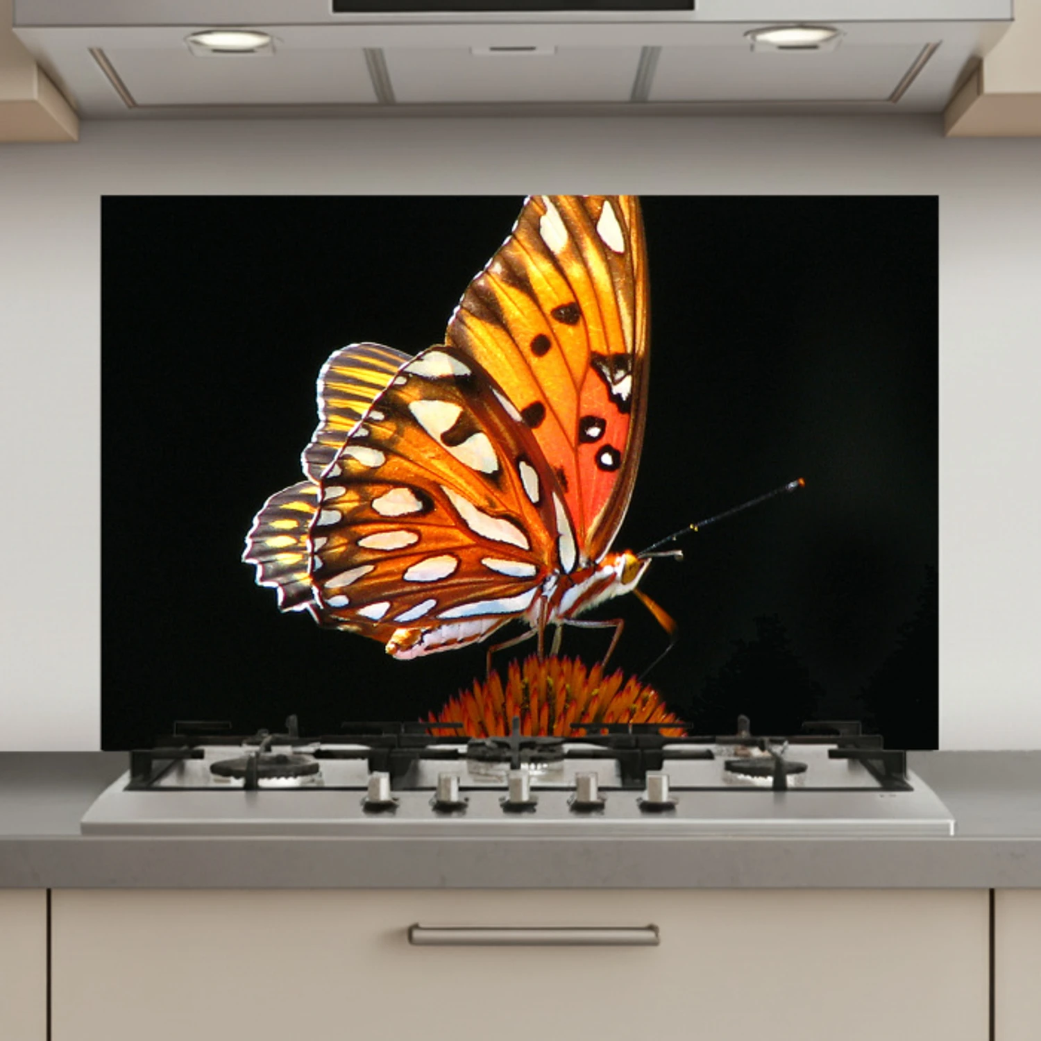 Vlinder - Bloemen - Insect - Portret - Zwart - Oranje keuken achterwand spatscherm klein -3d_website