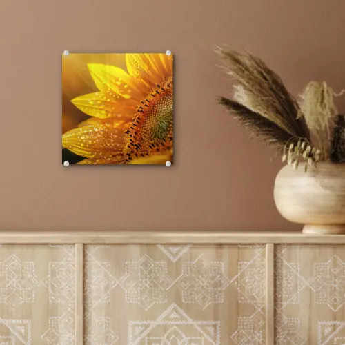Zonnebloem - Dauwdruppels - Geel - Zonlicht plexiglas 5mm klein -sfeer5
