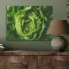 Groente - Sla - Groen PET vilt klein -sfeer2