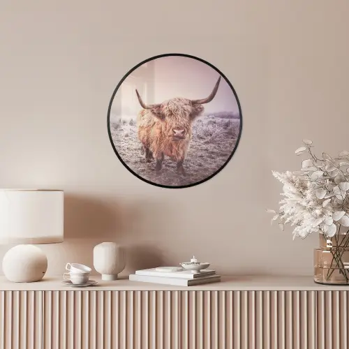 Schotse hooglanders - Licht - Lucht - Natuur Fotolijst rond zonder passe partout klein -sfeer3