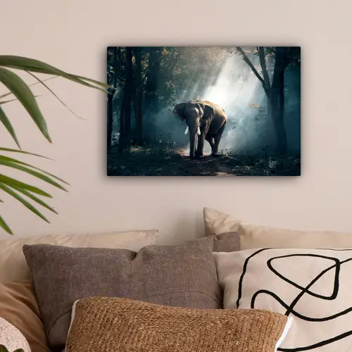 Olifant - Dieren - Licht - Bos - Natuur - Wilde dieren canvas 2cm klein -sfeer1