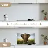 Olifant - Natuur - Gras - Dieren - Landschap keuken achterwand spatscherm klein -voor_na_NL