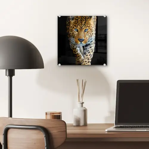 Luipaard - Dieren - Portret - Wilde dieren - Zwart plexiglas 5mm klein -sfeer6