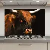Schotse hooglander - Zwart - Koe - Hoorn - Dieren keuken achterwand spatscherm klein -3d_website