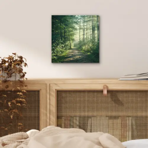 Bos - Pad - Zon - Bomen - Groen - Natuur aluminium wit klein -sfeer3