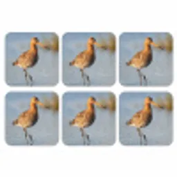 Vogel - Steltloper - Water - Natuur onderzetter kurk middel -3d