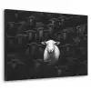 Schapen - Wit - Duisternis Textielframe zwart klein -3d