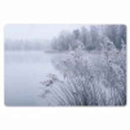 Riet - Bevroren - Winter - Natuur Placemat vinyl groot -zzsfeer1_Kitchenyeah-website