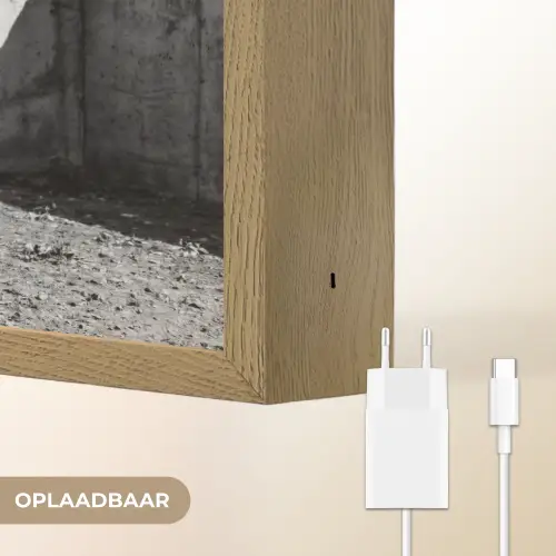 Vrouw - Paard - Artistiek Light Box met batterij (Wandlamp) middel -USP_websiteoplaadbaarNL