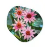 Bloemen - Roze - Glasmozaïek Wandcirkel Organisch Aluminium middel -3d