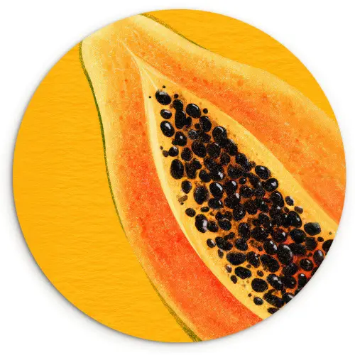 Papaja - Oranje - Topisch Wandcirkel kunststof plaat 5mm dik klein -3d