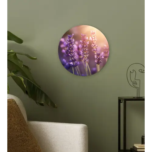 Lavendelbloemen - Paars - Zonlicht Wandcirkel plexiglas klein -sfeer3