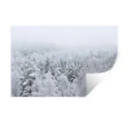 Bos - Sneeuw - Winter - Natuur - Wit Muursticker klein -3d