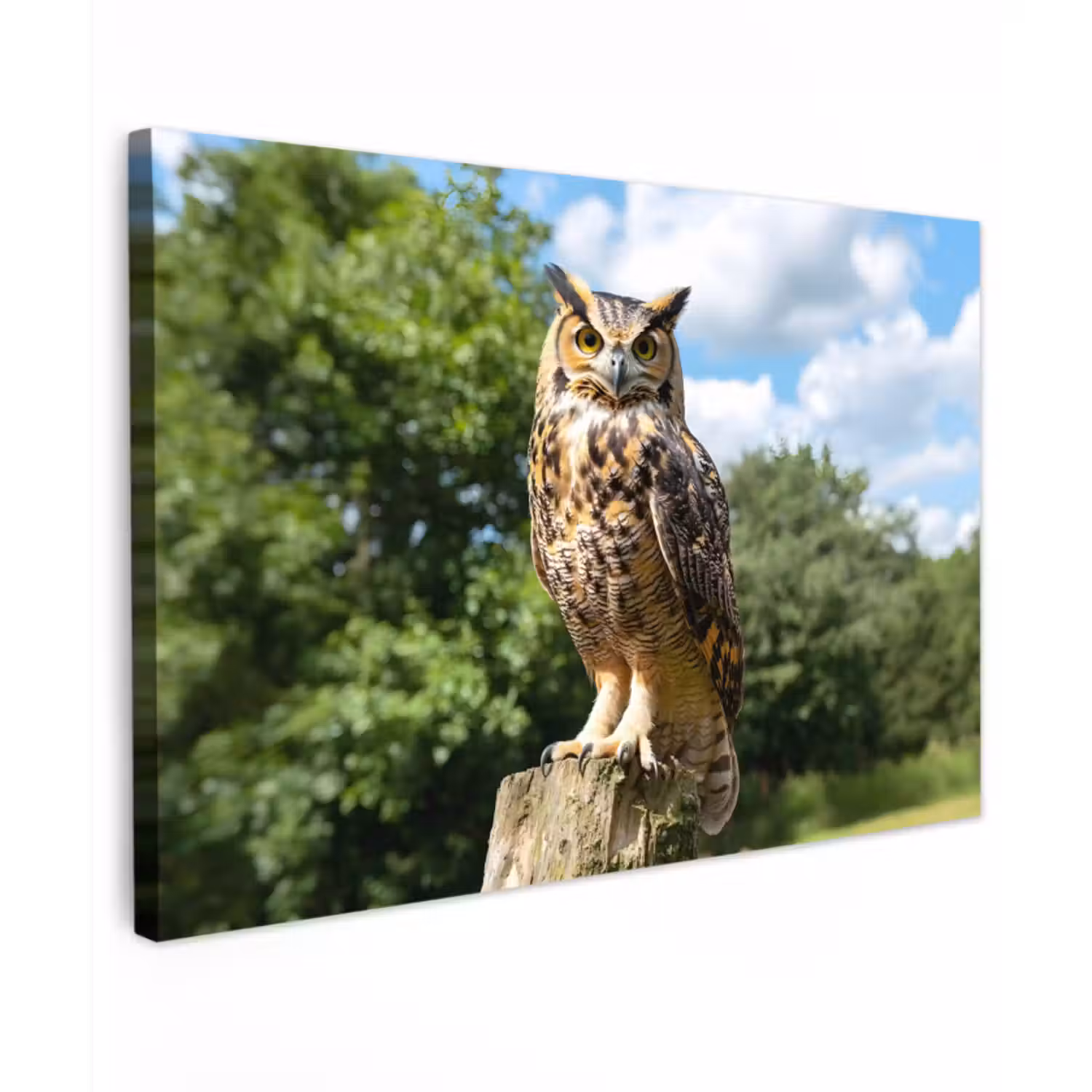 Canvas schilderij - Uil - Boomstronk - Bos - Lucht