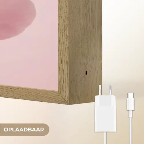 Bloem - Pioenroos - Roze Light Box met batterij (Wandlamp) middel -USP_websiteoplaadbaarNL