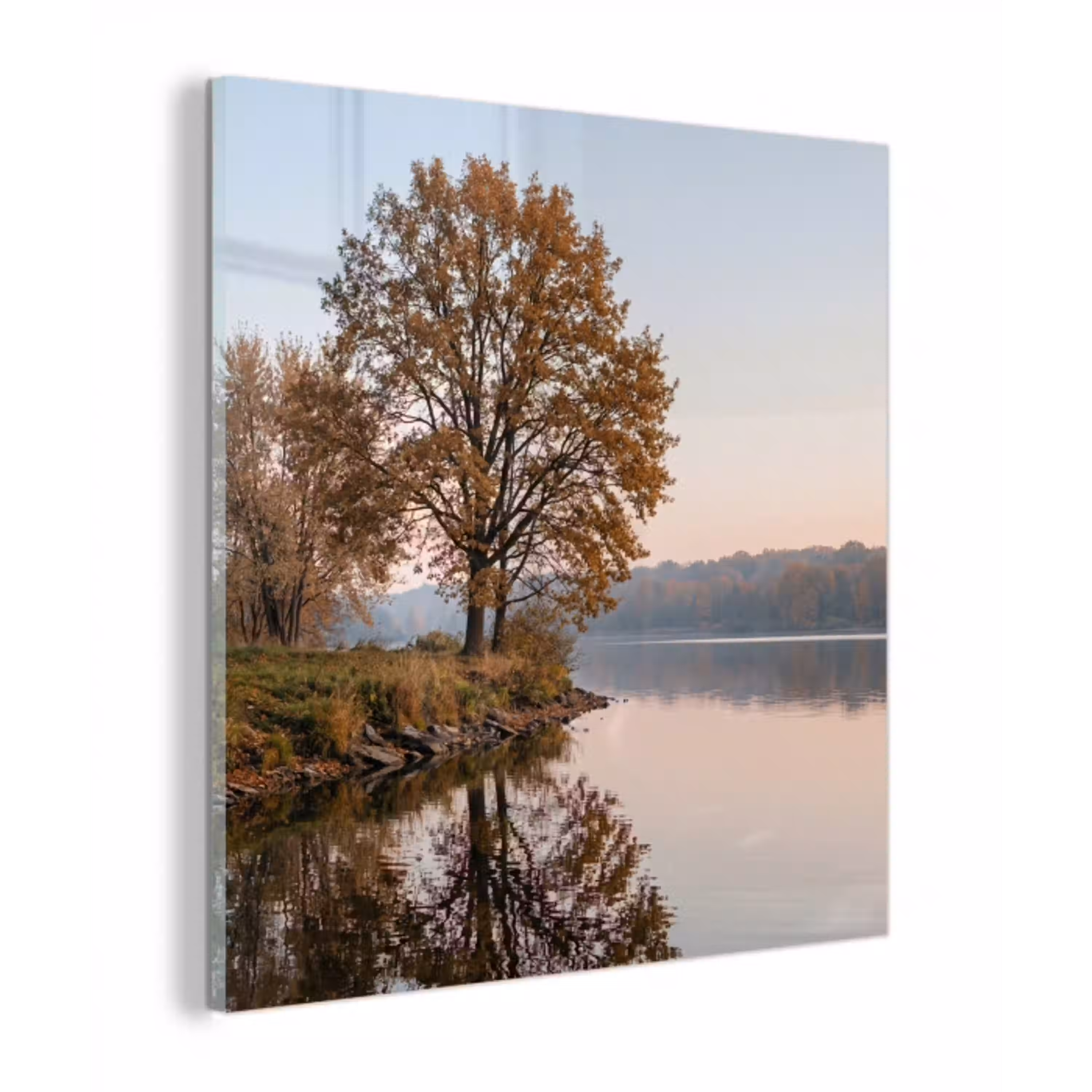 Bomen - Reflectie - Water - Zonsopgang - Serene plexiglas 5mm klein -z3d