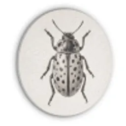 Kever - Insect - Vintage Akoestische PET Vilt - Rond klein -3d