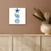 Zeester - Schelpen - Blauw aluminium wit klein -sfeer4