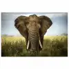 Olifant - Natuur - Gras - Dieren - Landschap poster papier klein -3d