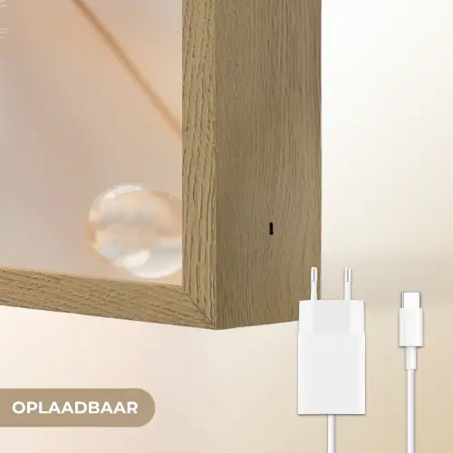 Paardenbloem - Water - Natuur - Stilleven - Modern Light Box met batterij (Wandlamp) middel -USP_websiteoplaadbaarNL