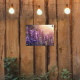 Lavendelbloemen - Paars - Zonlicht tuinposter los doek klein -sfeer1