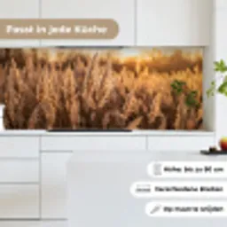 Rietpluimen - Gras - Zonsondergang - Goud - Serene keuken achterwand 2 middel -sfeer4_DE