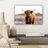 Schotse hooglander - Landschap - Koe - Bruin - Dieren - Natuur canvas 2cm klein -sfeer6