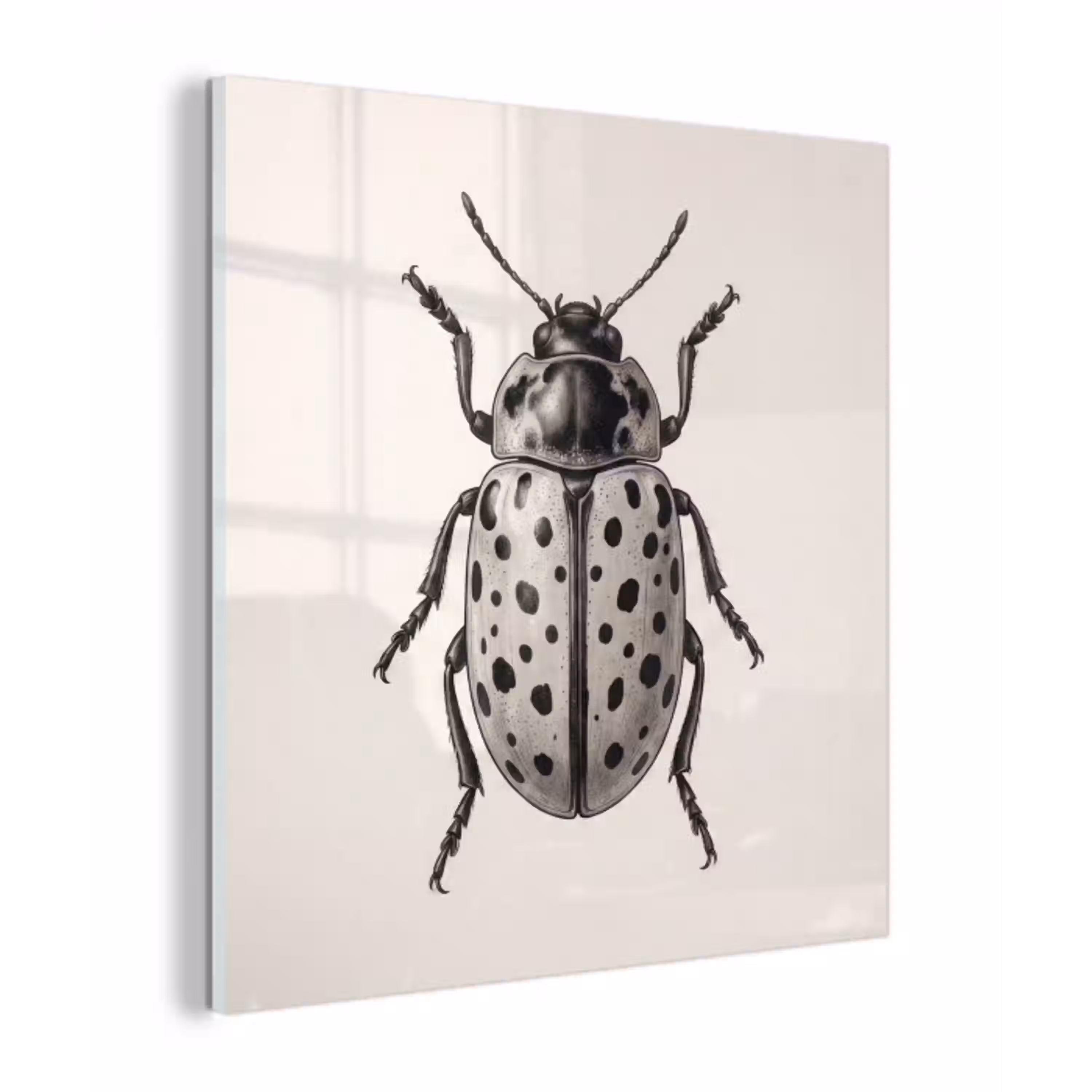 Kever - Insect - Vintage plexiglas 5mm klein -z3d