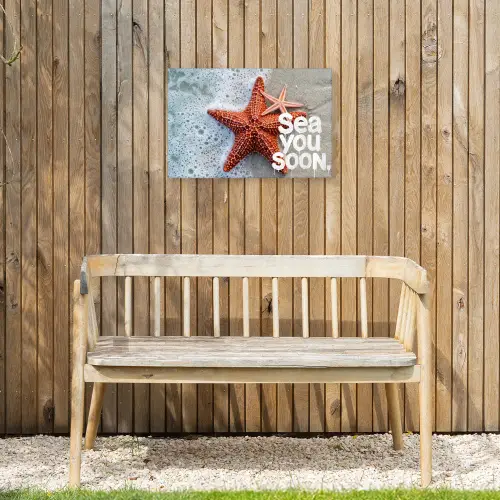 Sea you soon - Zeester - Zee Tuinposter op houten frame 2 cm dik klein -sfeer4