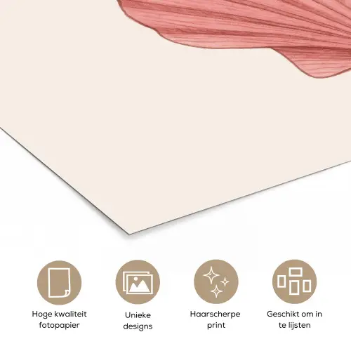Schelp - Roze - Ribbels poster papier klein -closeup_NL