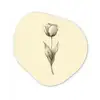 Illustratie - Tulp - Zwart Wandcirkel Organisch Plexiglas middel -3d