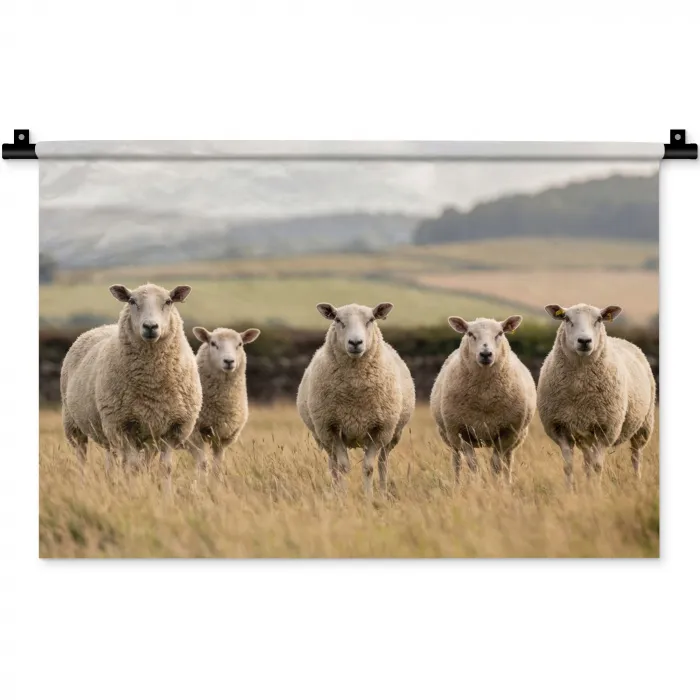 Schapen - Weidenlandschap - Heuvels Wandkleed katoen klein -zz3d