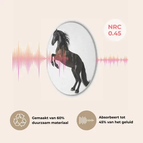 Zwart - Paard - Portret Akoestische PET Vilt - Rond klein -USP_NL