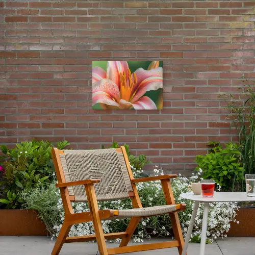 Lelie - Close up - Lichtroze Tuinposter op houten frame 2 cm dik klein -sfeer3