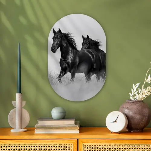 Paarden - Gras - Zwart - Wit Wandcirkel Ovaal Forex klein -sfeer2