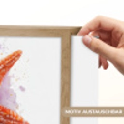 Zeester - Oranje - Paars Light Box met batterij (Wandlamp kind) middel -USP_websiteprintDE