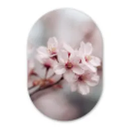 Bloesems - Meeldraden - Geel - Wazig Wandcirkel Ovaal Forex klein -3d