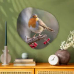 Roodborst - Tak - Bessen - Natuur Wandcirkel Organisch Aluminium middel -sfeer2