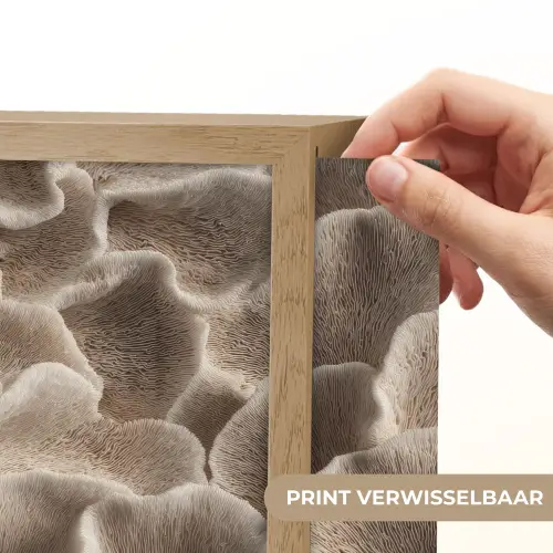 Waaiervorm - Beige - Vezel textuur Light Box met batterij (Wandlamp) middel 907 -USP_websiteprintNL