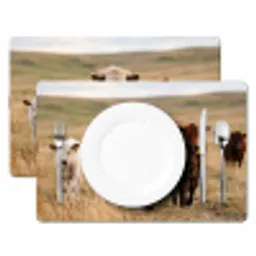 Runderen - Kudde - Landschap - Weide - Rustig Placemat vinyl groot -zzsfeer2_Kitchenyeah-website